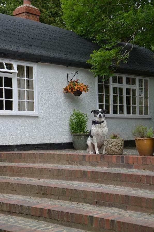 Bucket Lock Cottage Warwick  Dış mekan fotoğraf